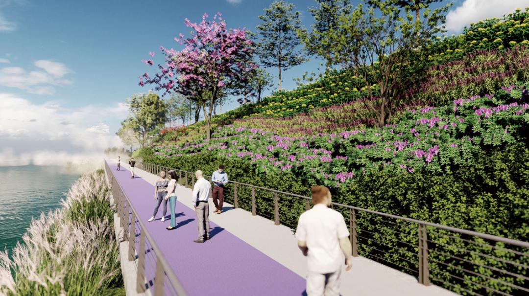 杭州建德新安江紫薯绿道,建德新安江紫薯绿道地址