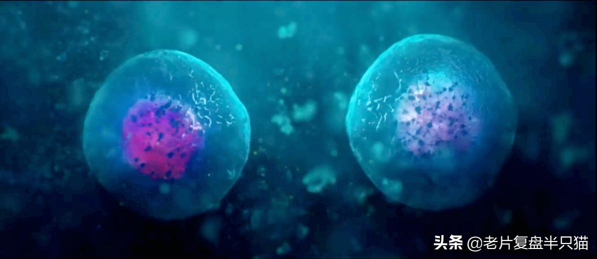 超体跟寡姐有关系吗,超体是寡姐演的吗