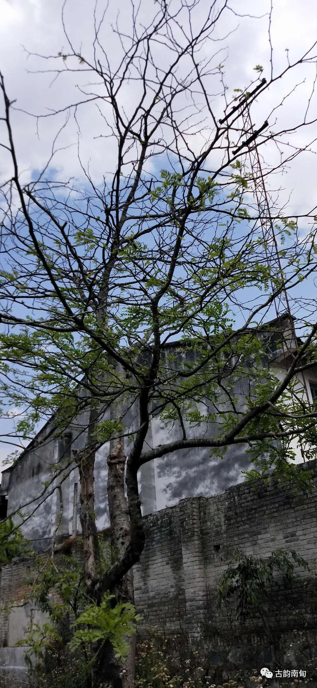 姊佹渤鐗硅壊缇庨鎺ㄨ崘,姊佹渤鐗硅壊缇庨