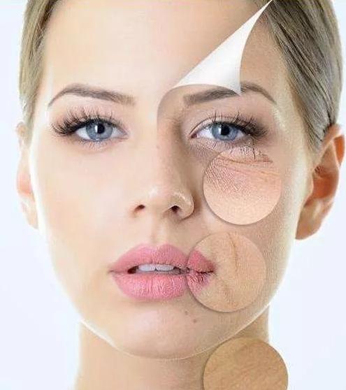 类人胶原蛋白可不可以延缓衰老,类人胶原蛋白保湿