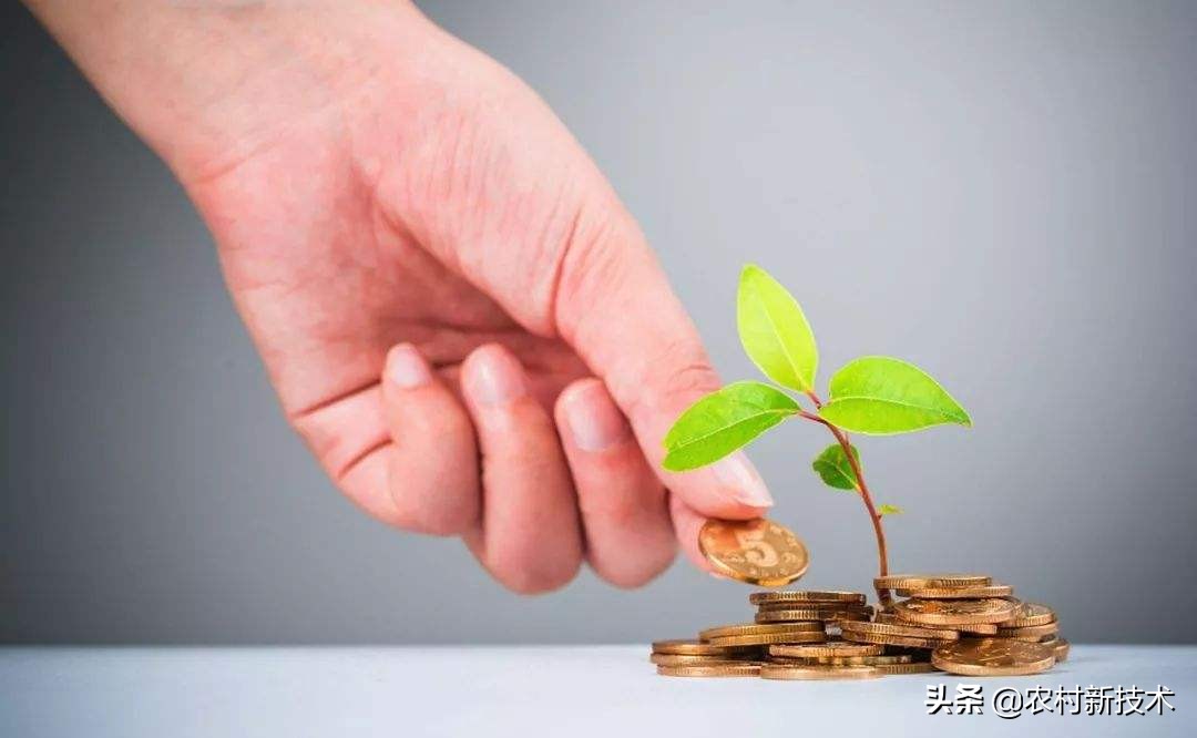 在农村创业没有钱咋办？金融服务来助力