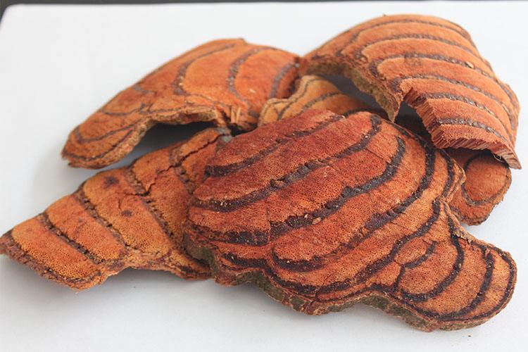 静医生备孕有人成功吗,静医生备孕