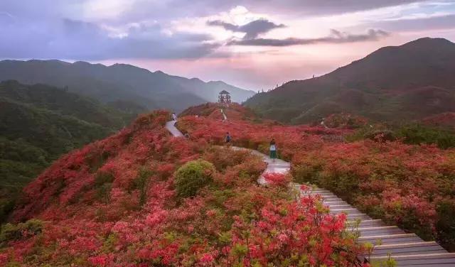 五一小众旅游推荐长沙周边,端午旅游推荐2-3天游长沙