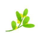 鹰潭好还是贵溪好,贵溪是一个怎样的地方