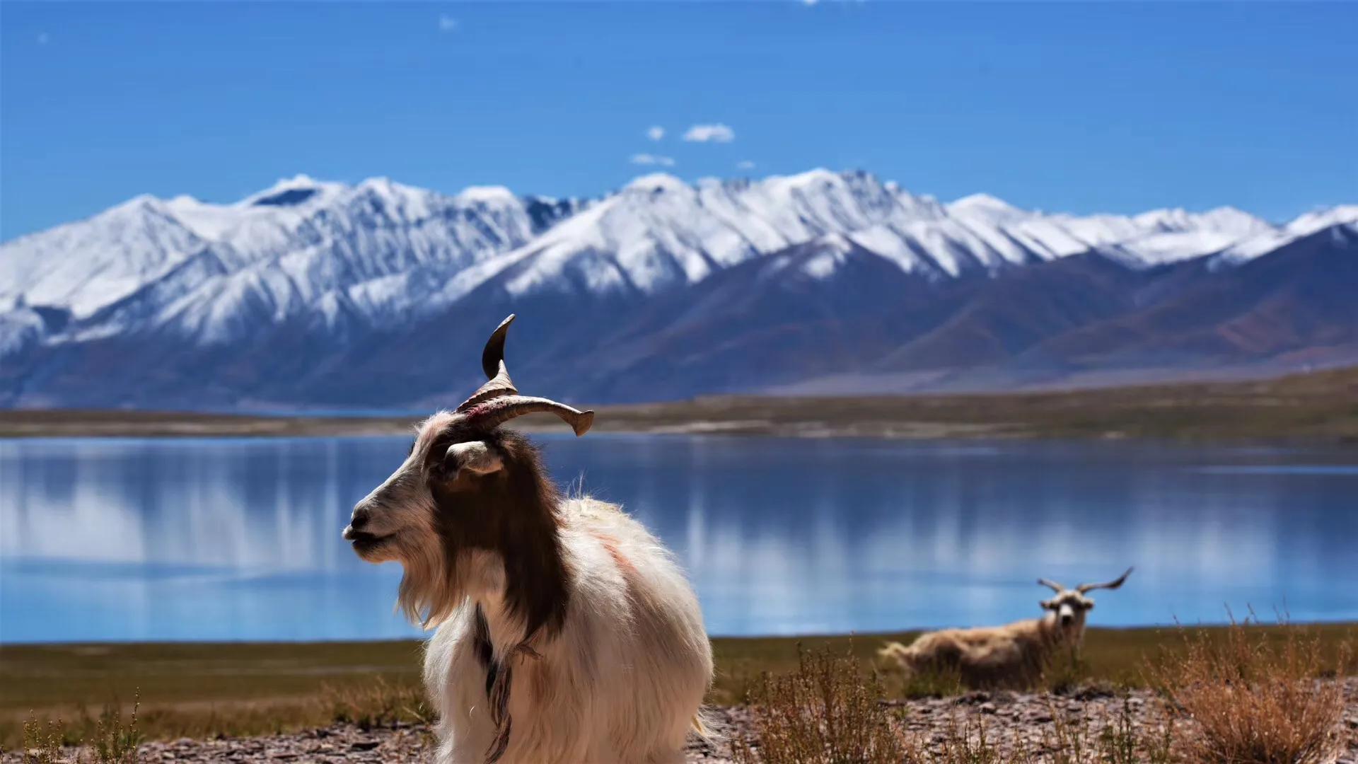 中考体育喝红牛犯规吗,长沙体育中考出现问题