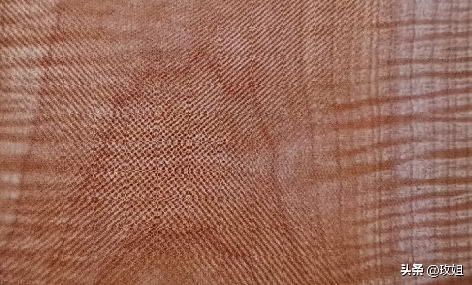 硬枫原木,硬岩枫树