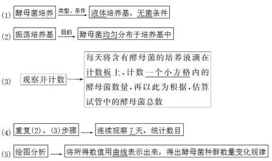 高中生物实验方法归纳图怎么画的,高中生物实验专题归纳