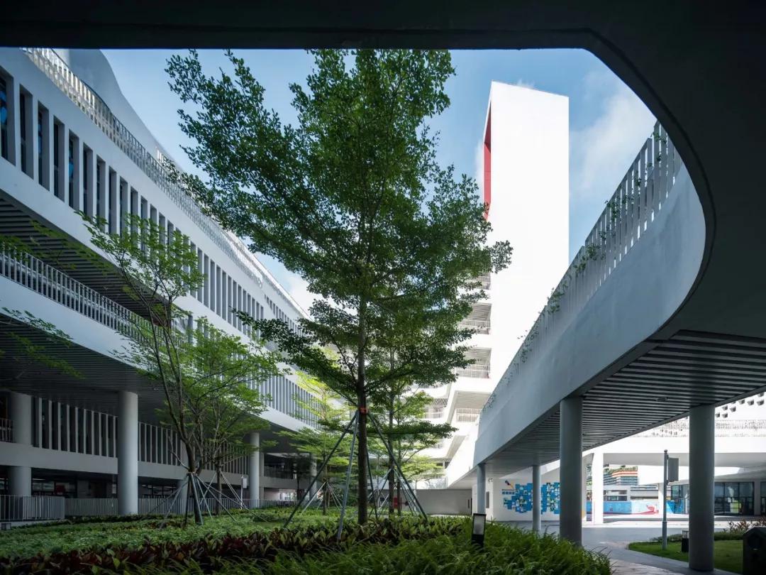 深圳前海小学好不好,前海小学在深圳市排名