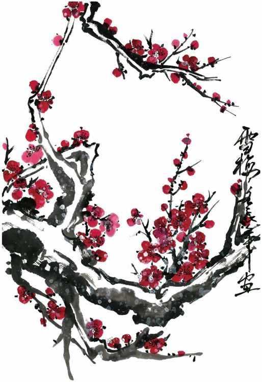 零基础梅花花朵入门画法,零基础学国画梅花入门步骤