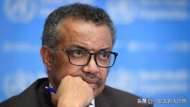 深圳新型冠状病毒源头,台湾追溯新型冠状病毒源头