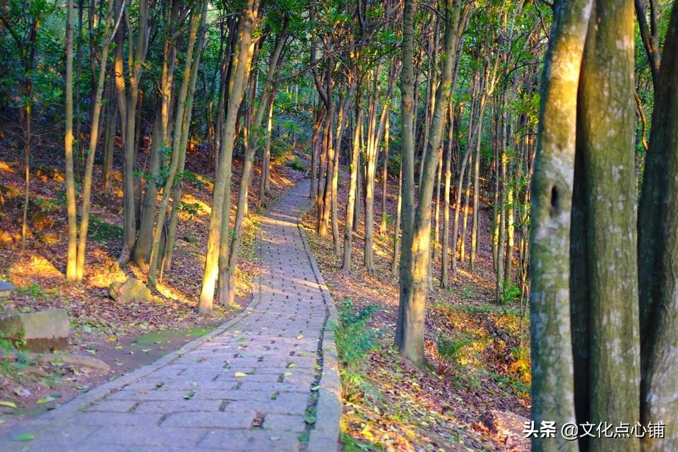 您心中的苏轼是什么样的？如果用一首词来形容，你会选择哪首？