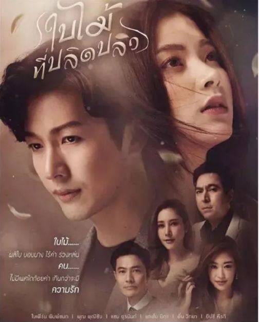 儿媳和婆婆滚床单，泰国又出神剧，网友却表示好看极了