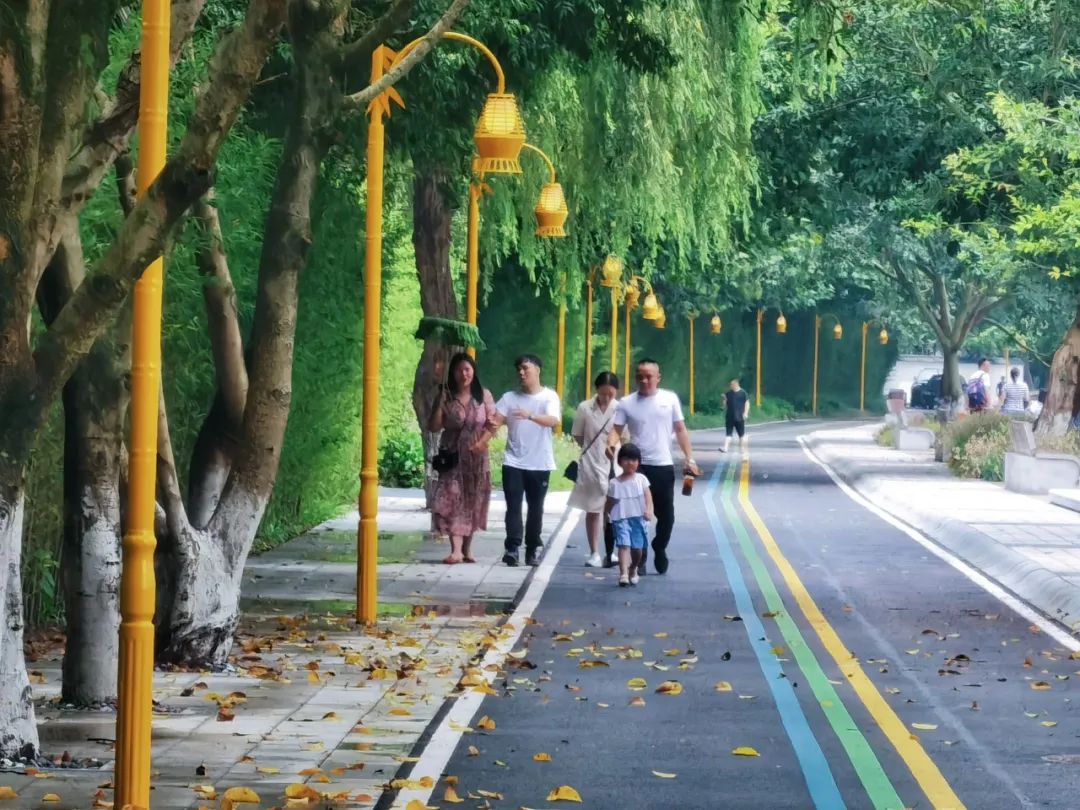 全长240公里的锦江绿道！太震撼了