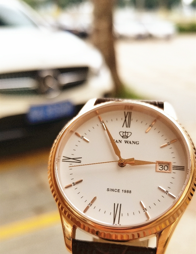 天王休闲腕表,天王全镂空男士机械腕表