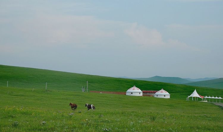 四子王旗——故乡的云，真的好美