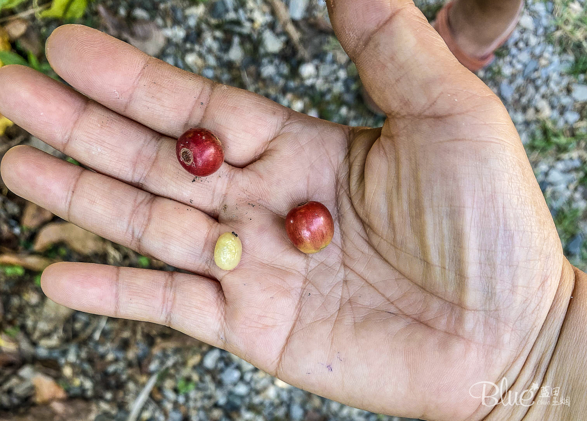 清迈环境好住宿便宜的地方,清迈最好的旅馆