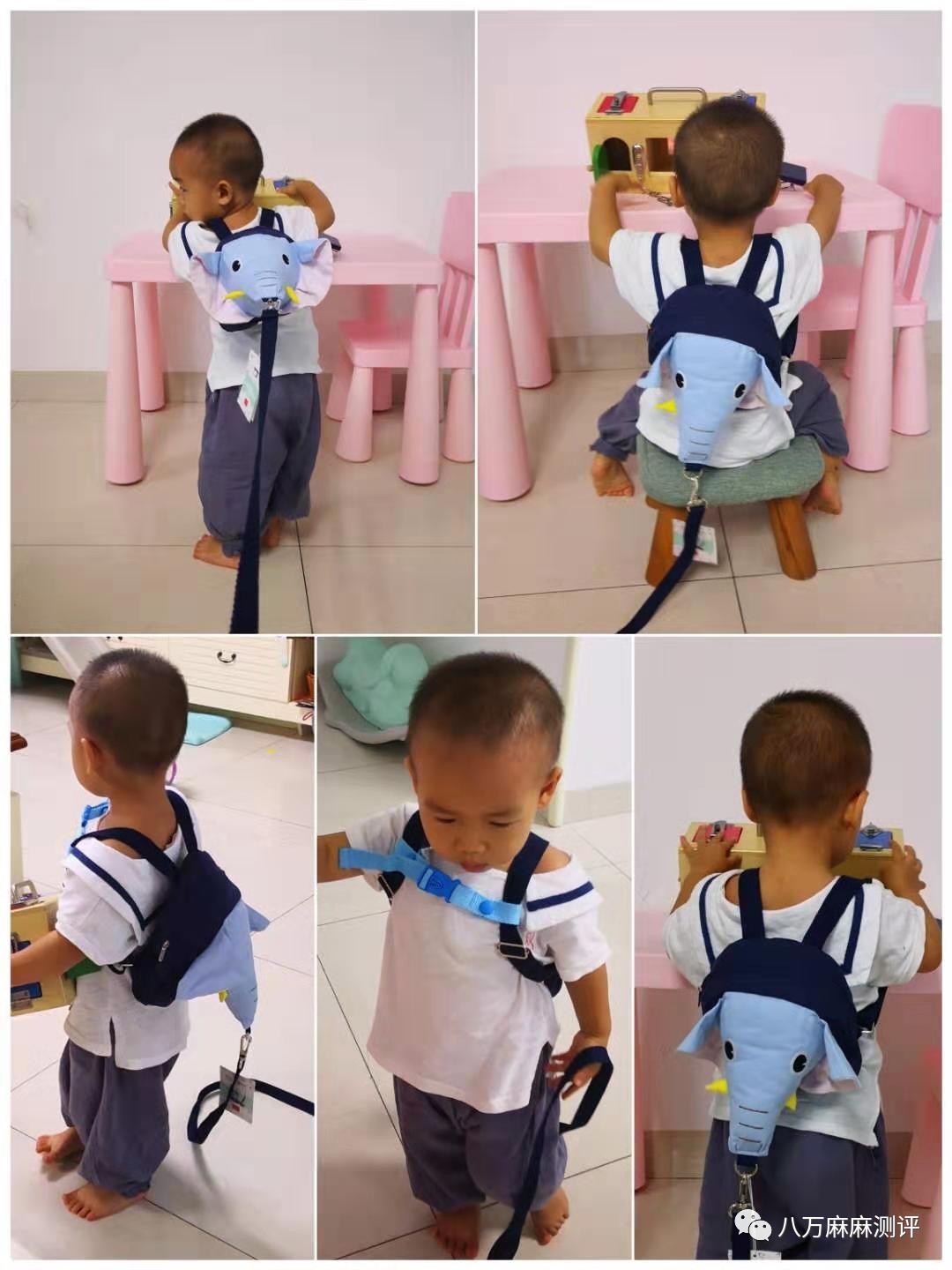 小书包测评专题|这里是防走失包的大草原（上）