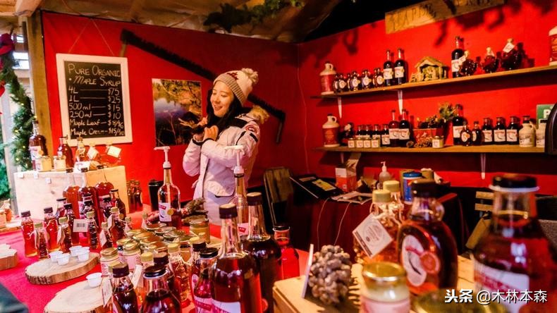 加拿大多伦多生活日记,加拿大多伦多留学生活纪实