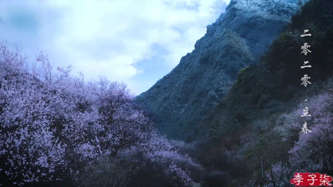 看了李子柒的视频的感受,看完李子柒后的感受