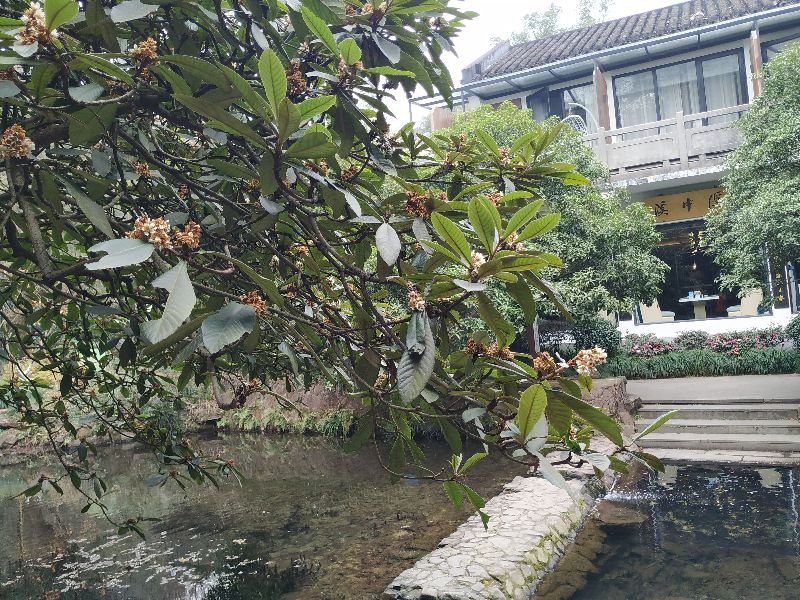 杭州市周末自驾游去哪里好玩,杭州出发周末旅游攻略