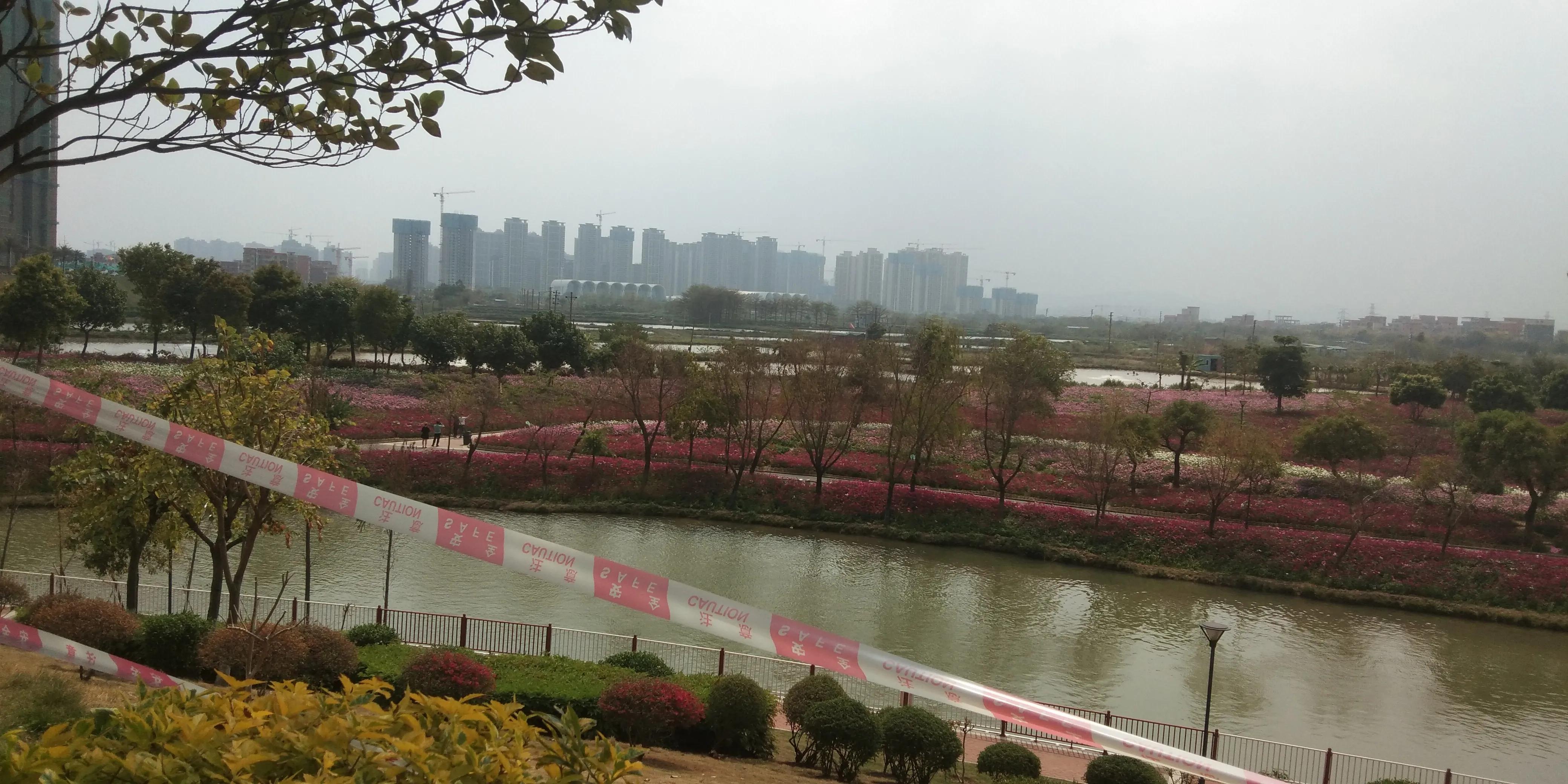 佛山高明怎样,佛山高明区很差吗