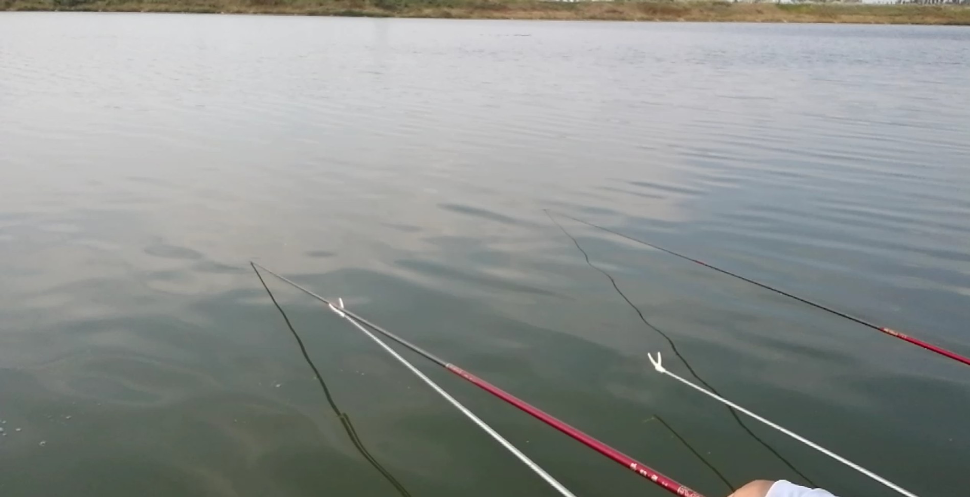 钓竿应该怎么选,初学者钓竿怎么选择