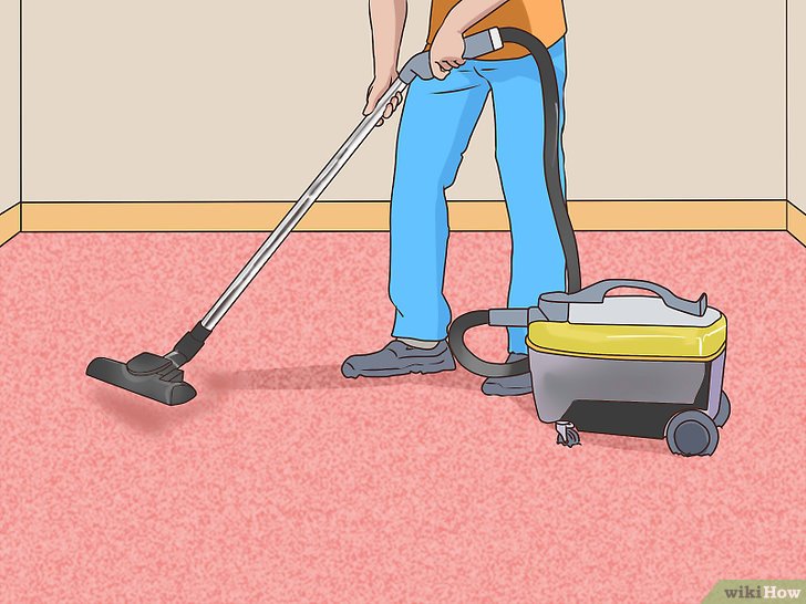 怎么消除宠物味道,如何清除室内宠物味道