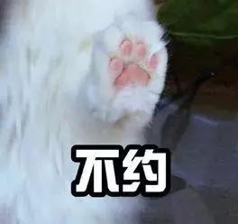 猫咪发情那些事，发情的猫咪都有什么表现呢？