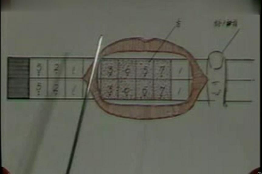 口琴入门教学《24孔口琴初级教程》