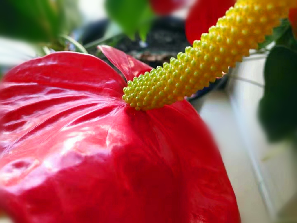 做好5件事快速改变人生,做好这5件事