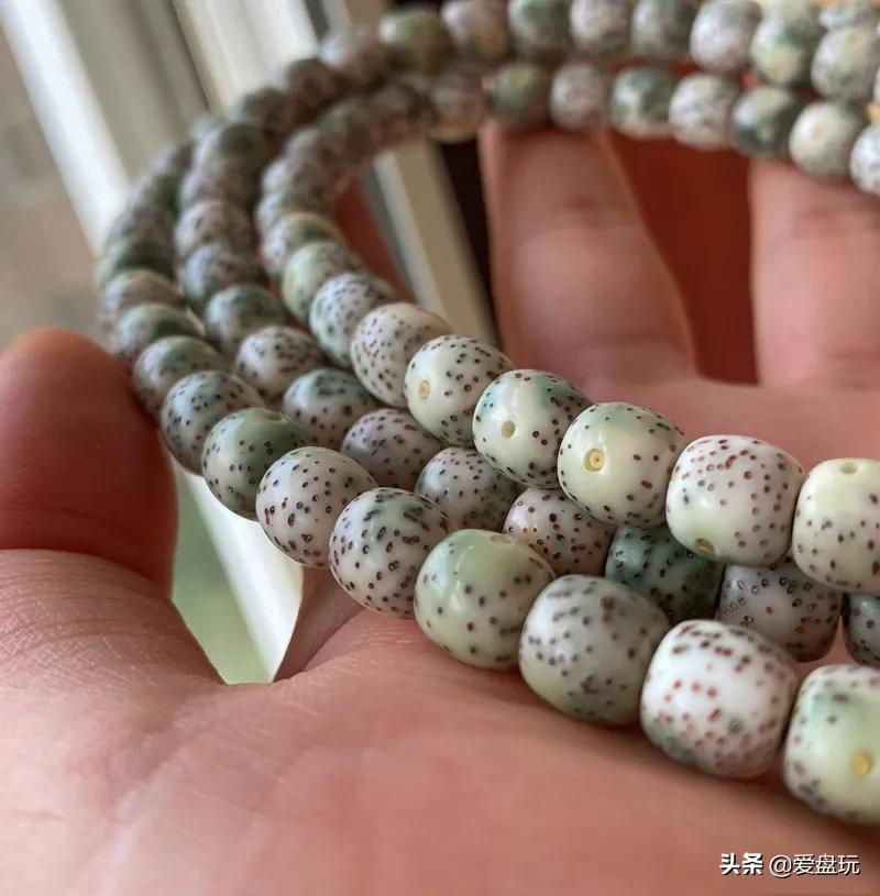 星月盘多久可开片,星月盘了几年都不开片