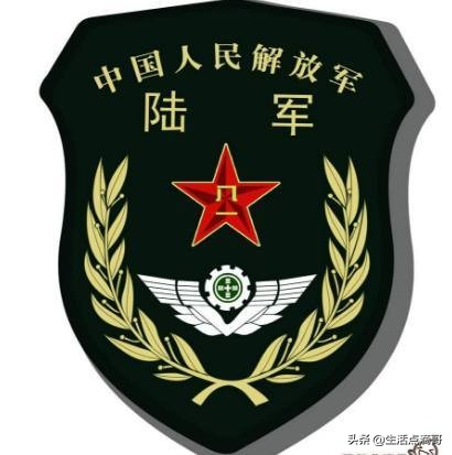 军队改革后新设的军种是什么,中国人民武装警察部队军种改革