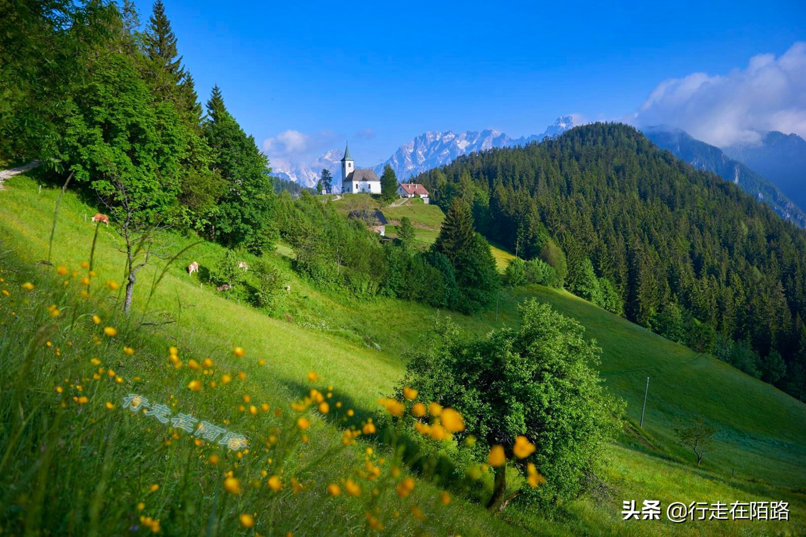 斯洛文尼亚国家好去吗,斯洛文尼亚在地图上为什么找不到