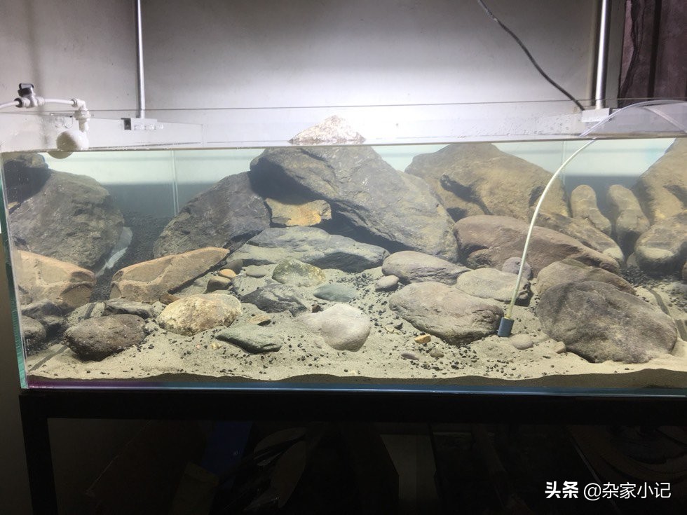 原生缸加热推荐,不用过滤器的原生缸