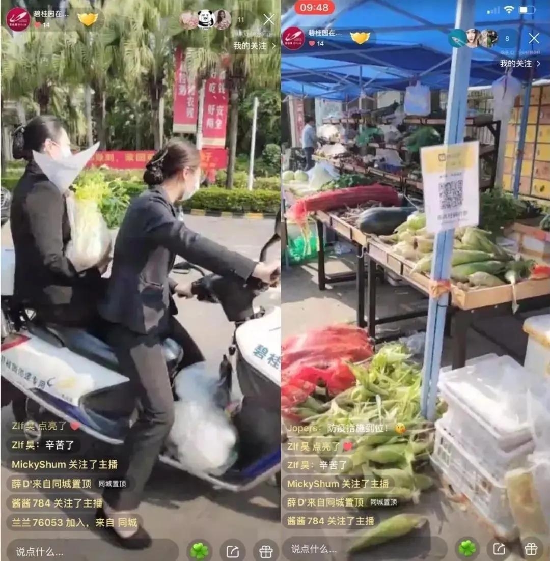 碧桂园云浮排名 (云浮碧桂园销售排名)