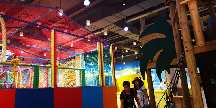 三亚红树林有亲子活动,三亚红树林和海韵