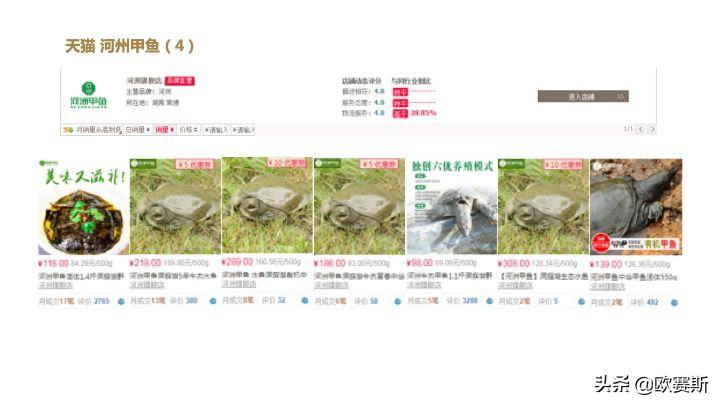 欧赛斯带你全方位洞察甲鱼市场发展趋势及竞争格局