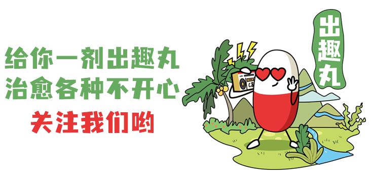 泸州旅游推荐景点大全最新,合肥旅游免费景区推荐