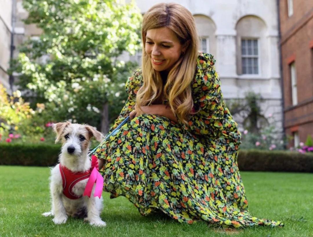 英国首相深陷丑闻风波,英国首相丑闻