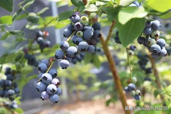 旅行十天怎么简化行李托运,出门旅行6天用什么装行李好