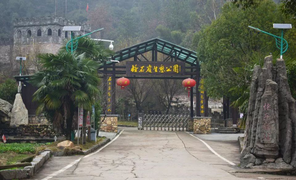 游玩半价票,雁荡山周末半价票