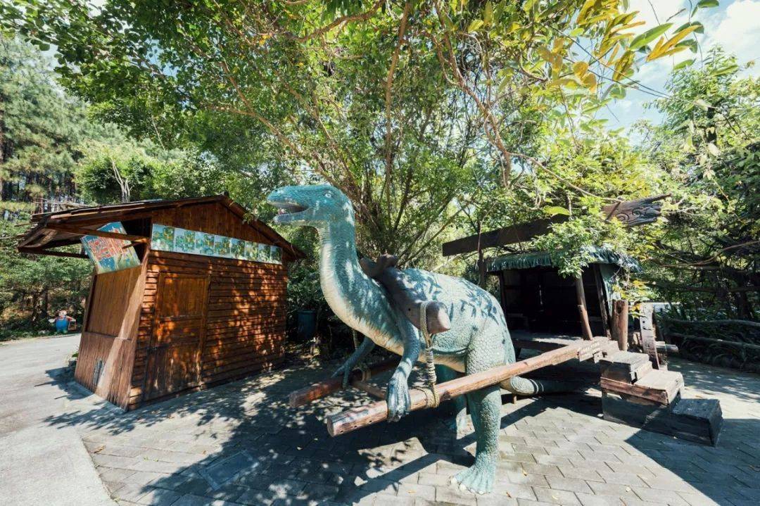 清远森波拉温泉晚餐,清远森波拉温泉度假村酒店报价