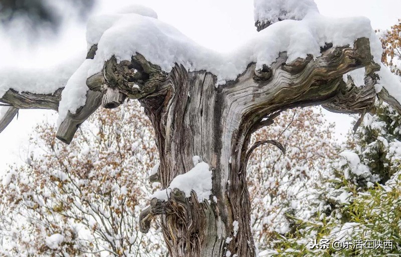 戏雪游乐场项目,戏雪乐园雪人