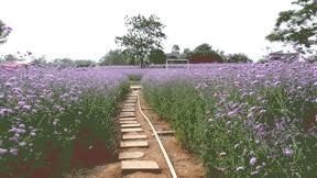 迟到的618好物推荐,618影像神器