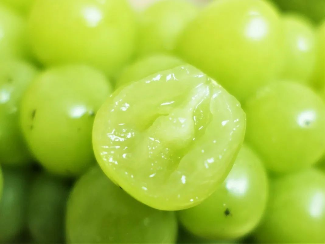 葡萄界的爱马仕晴王,葡萄界中的爱马仕跌落