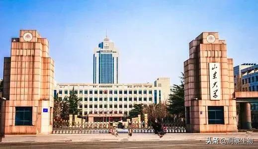 并入山东大学后实力下滑严重，“东齐鲁”已不负盛名