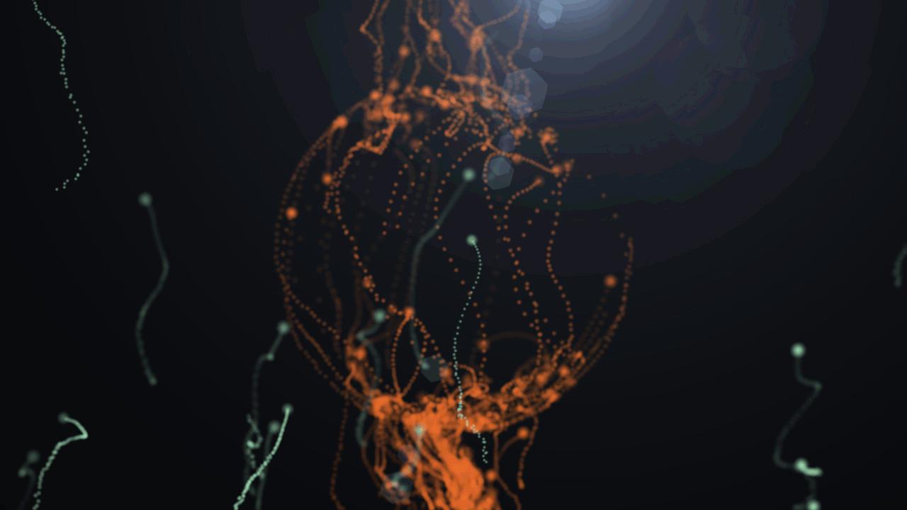 AE入门基础课程,ae入门教程零基础14天学习