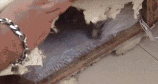 常见的20种网赚骗术揭秘,韭菜有效套路