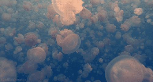 荣格说过压抑的情绪不会消失,荣格到底怎么样