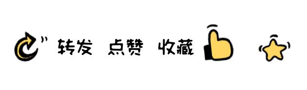 新岸线智能科技,湖北新岸线科技有限公司
